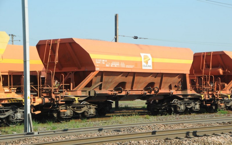 MCS_1564.jpg