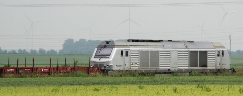 75037 (2018-06-06 Harbonnières) (2).jpg
