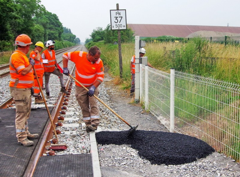 2018-06-11 PN n°36 à Eppeville (31).jpg