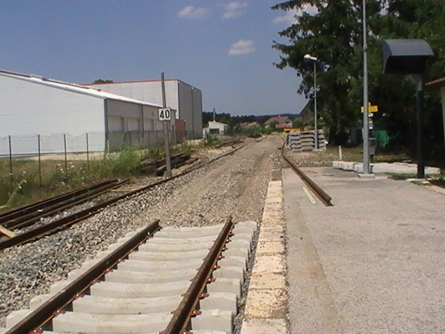 PIC_3723.JPG