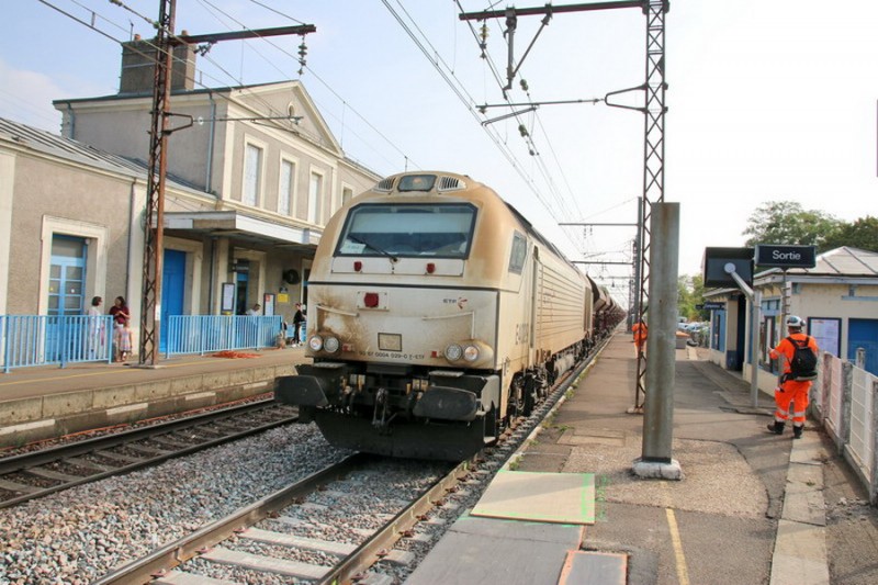 (30) E4029 (2018-08-28 Onzain).jpg