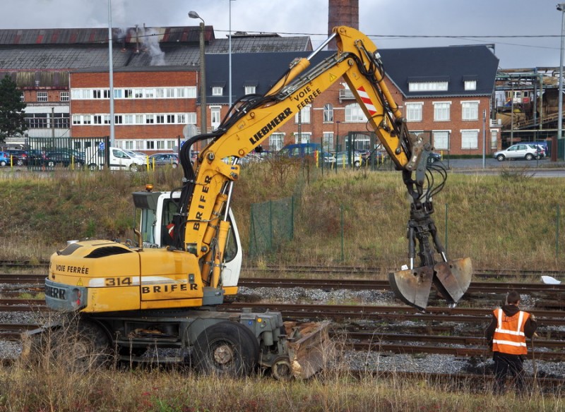 Liebherr 314 (2018-11-08 Eppeville) (15).jpg