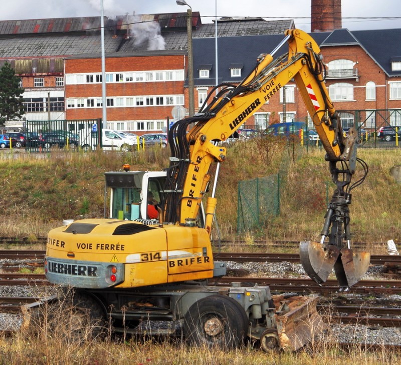 Liebherr 314 (2018-11-08 Eppeville) (10).jpg