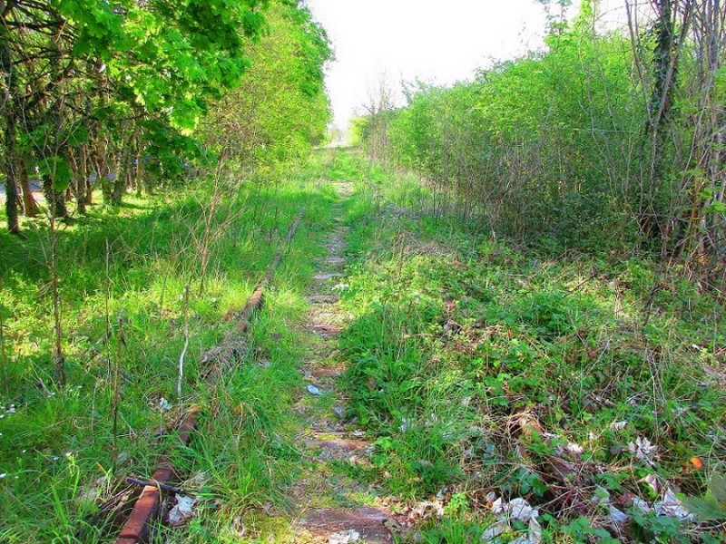 (104) Aire repos RD 943 Bridoré (Indre et Loire) direction Loches.jpg (395.19 Kio) Vu 10087 fois (104) Aire repos RD 943 Bridoré (Indre et Loire) direction Loches.jpg