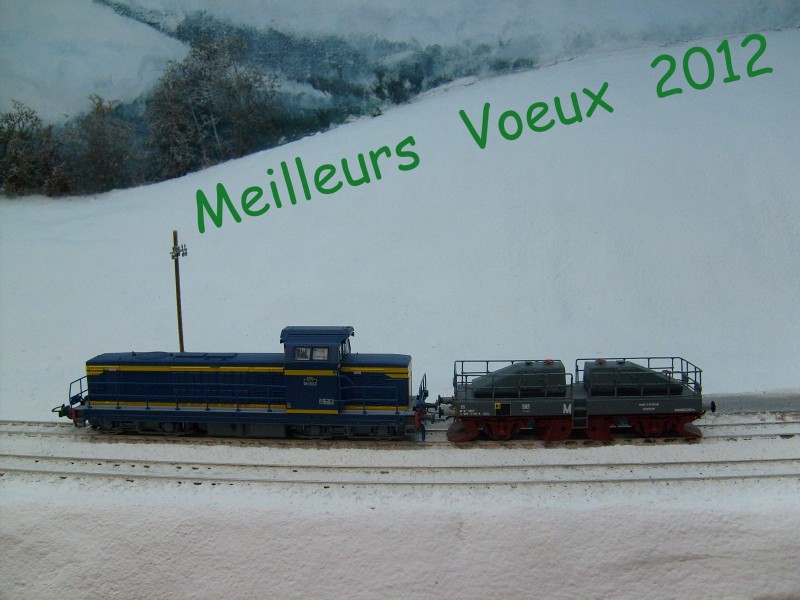 voeux . (Copier).JPG