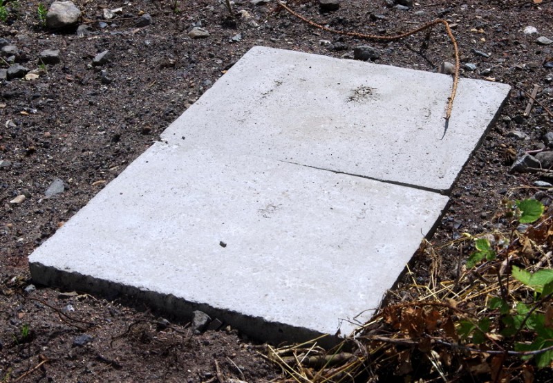 2019-06-21 Essigny-le-Grand (9).jpg (273.68 Kio) Vu 10410 fois 2019-06-21 Essigny-le-Grand (9).jpg