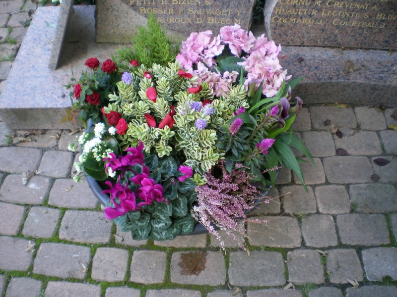 10-10-2019 14-42-03_0001.jpg (310.39 Kio) Vu 4618 fois 10-10-2019 14-42-03_0001.jpg