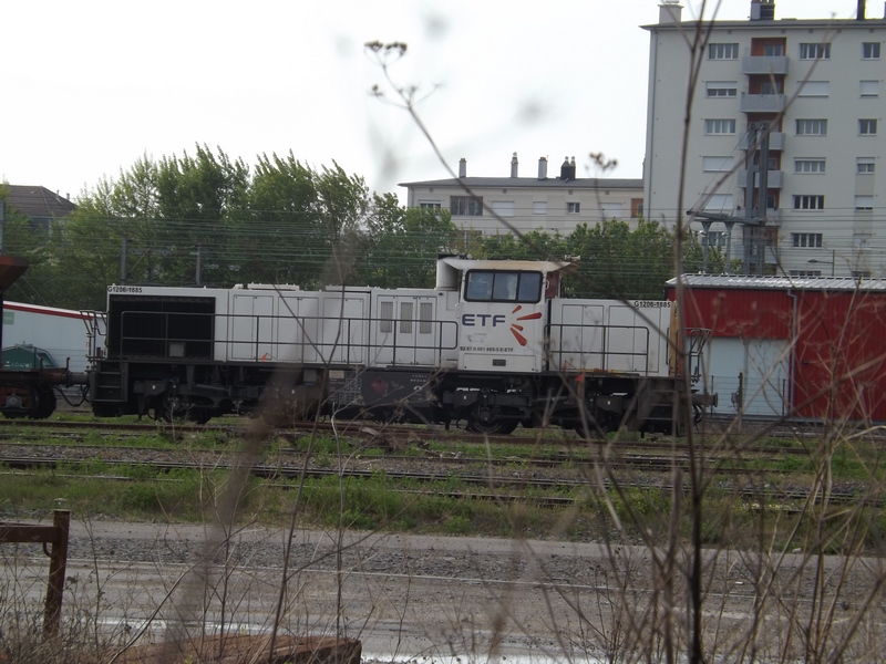 DSCF0274 (Copier).JPG