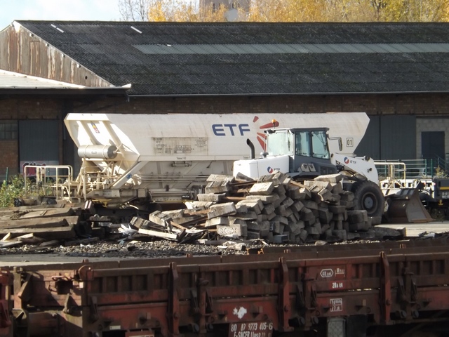 DSCF2825 (Copier).JPG
