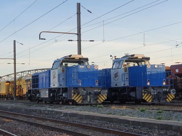 c_t_s_f_cover (Copier).jpg