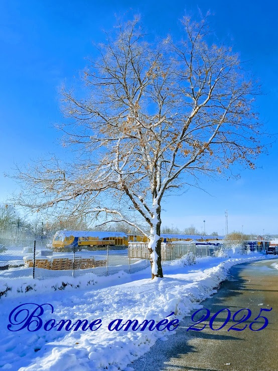 IMG_20241123_091439516-EFFECTS.jpg