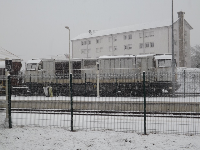 DSCF5765 (Copier).JPG