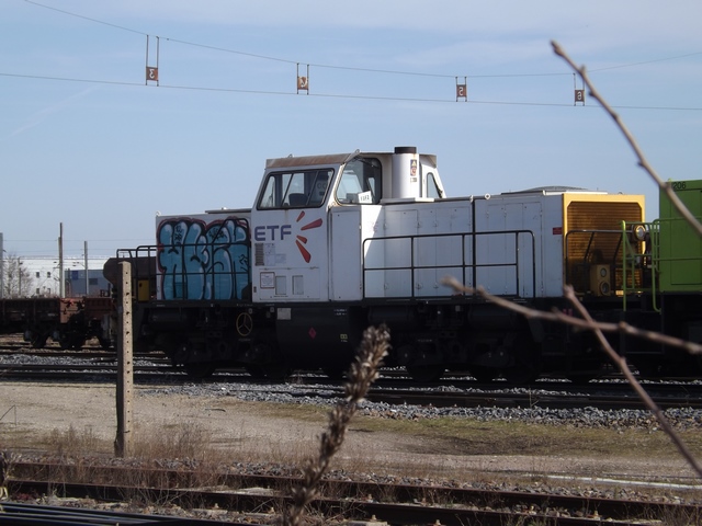 DSCF5608 (Copier).JPG