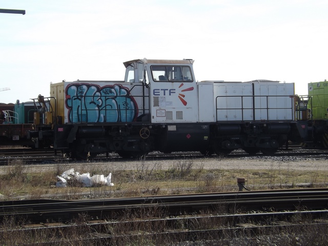 DSCF5599 (Copier).JPG