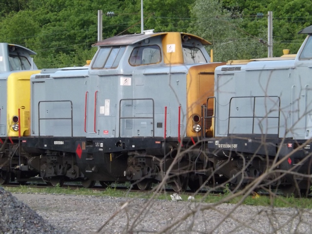 DSCF6720 (Copier).JPG