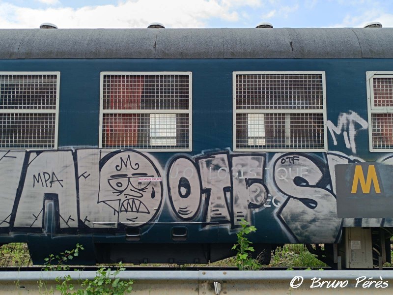 DEV - 80 87 979 3 285-8 Uas H 55 0 - SNCF RESEAU (7) (light).jpg