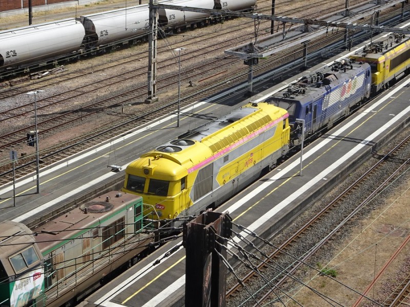 67516R.jpg