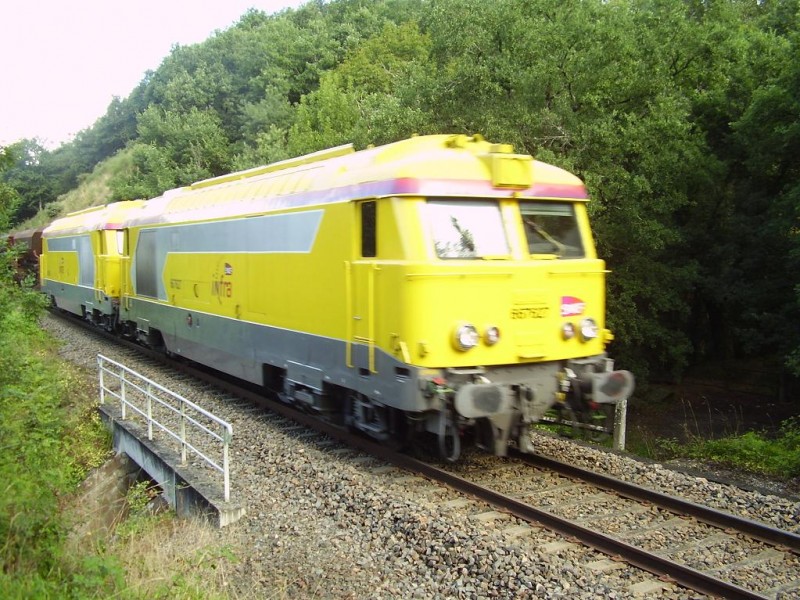 P8050003.JPG