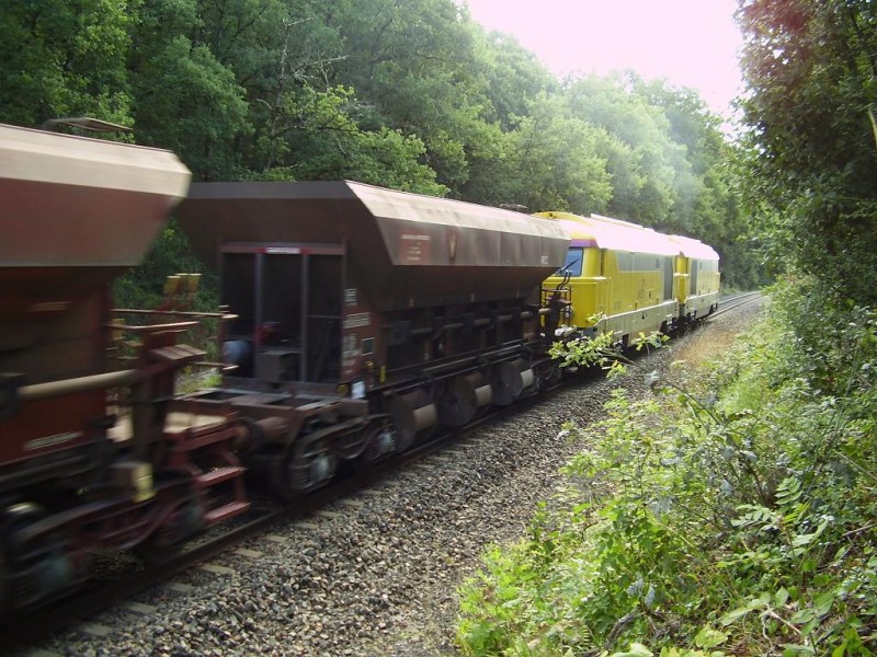 P8050004.JPG