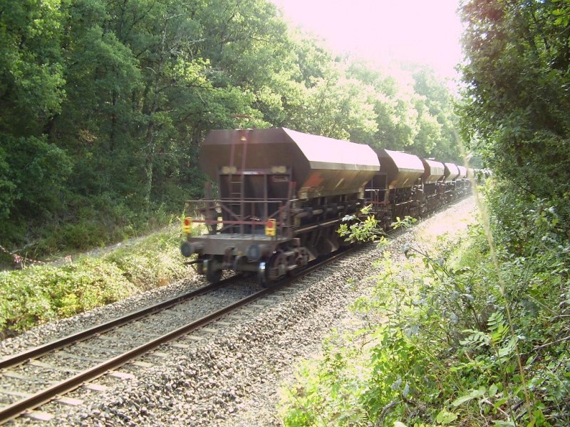 P8050005.JPG