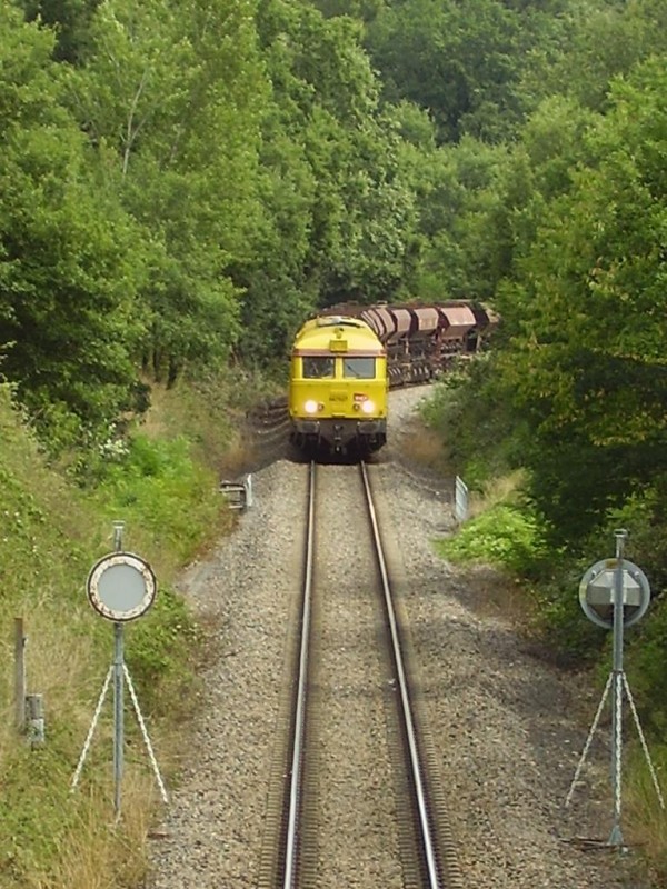 P8130008.JPG