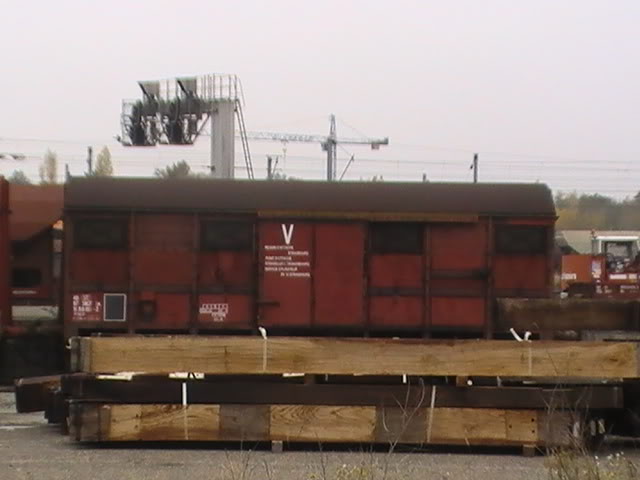 PIC_0562.jpg