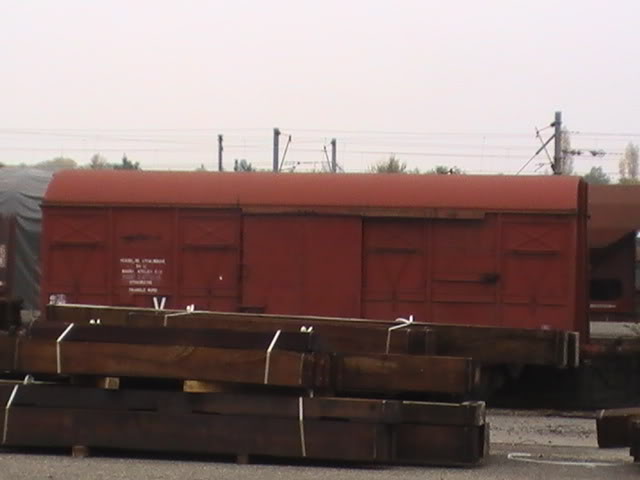 PIC_0565.jpg