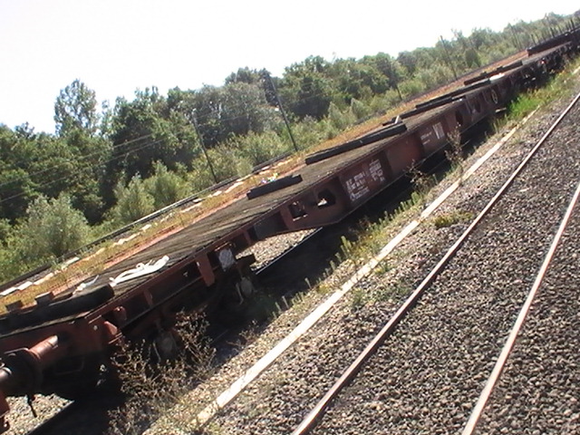 PIC_4496.JPG