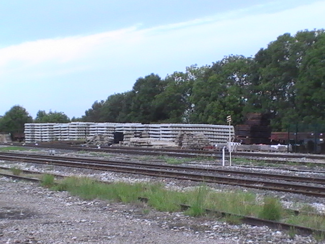PIC_4789.JPG