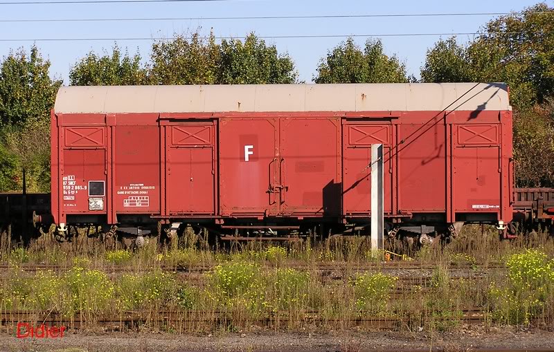 9592865-9.jpg