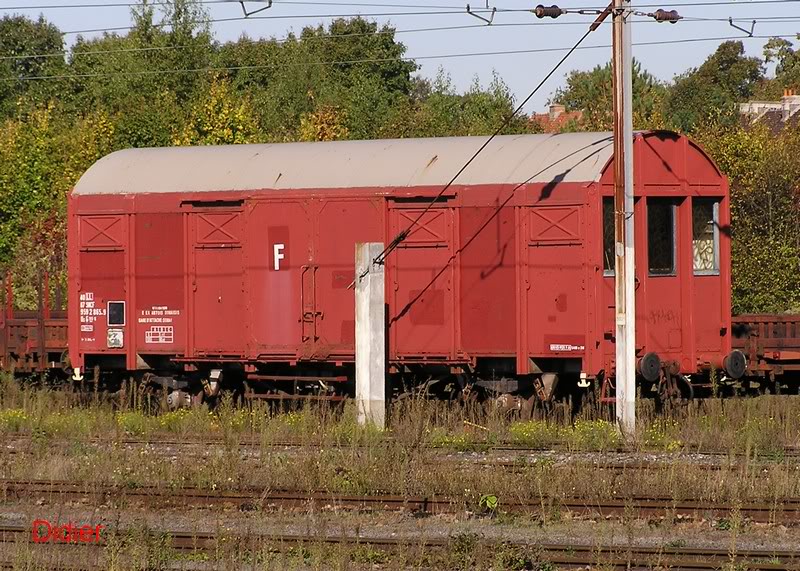 9592865-9b.jpg