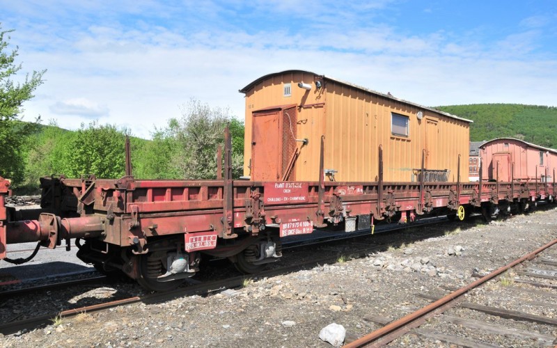 MCS_0917.jpg