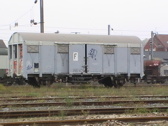 PIC_0572.jpg
