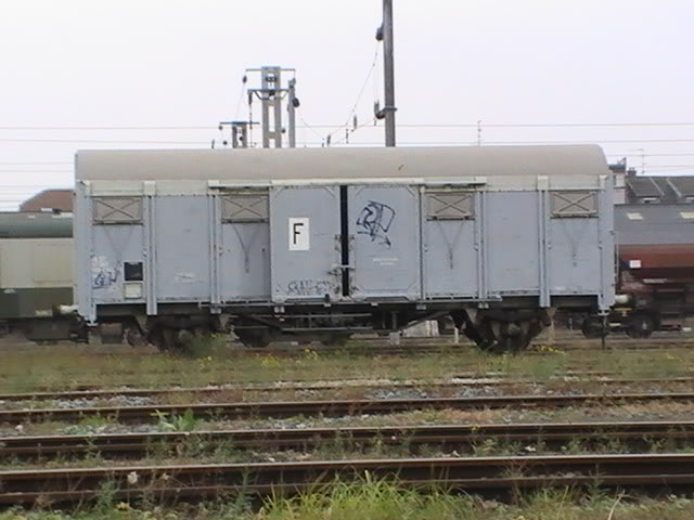 PIC_0576.jpg