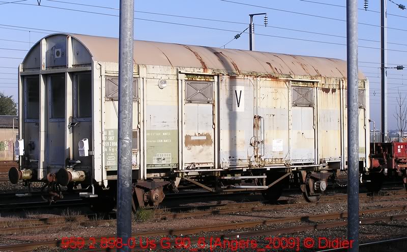 9592898.jpg