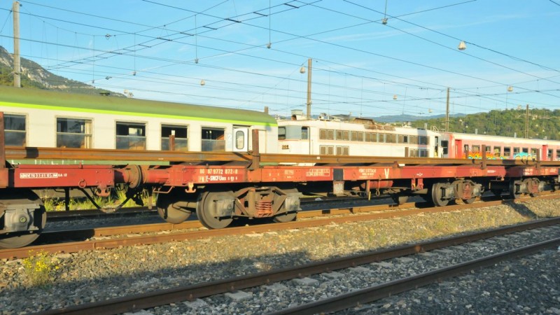 MCS_1136.jpg
