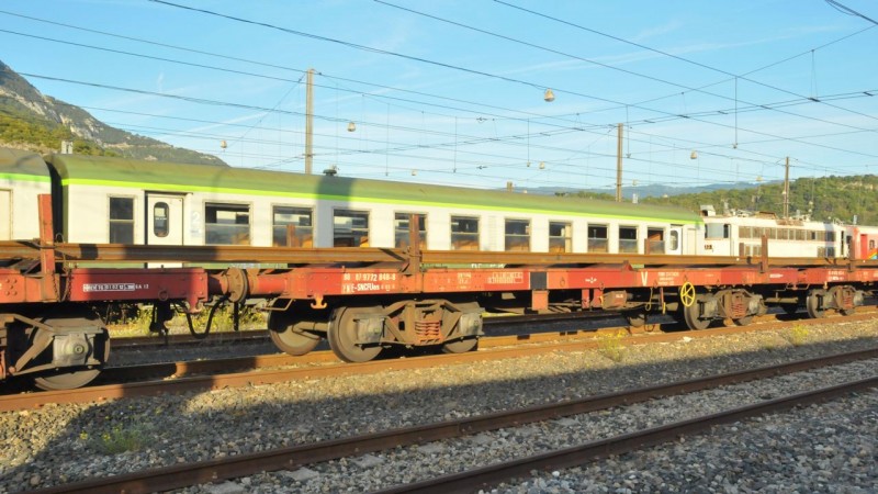 MCS_1137.jpg