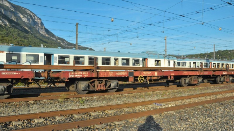 MCS_1130.jpg