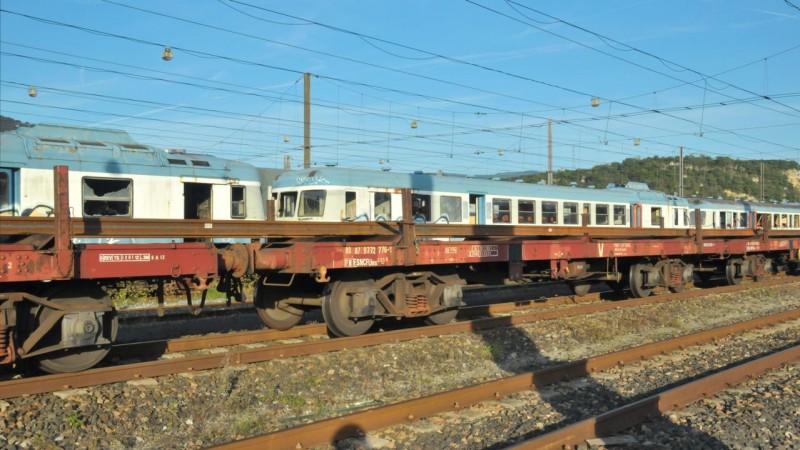 MCS_1131.jpg