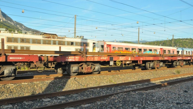 MCS_1135.jpg