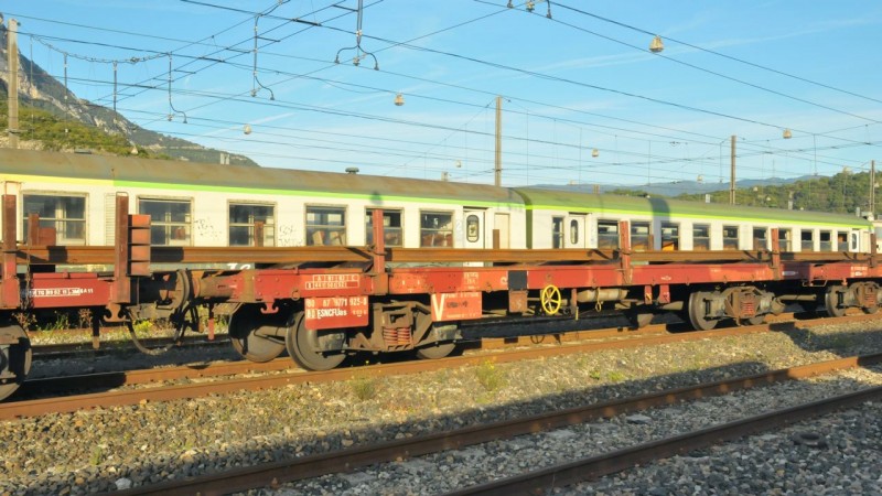 MCS_1138.jpg