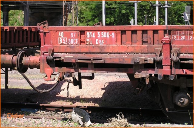 9543506-9c.jpg