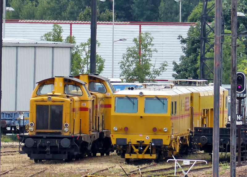 2015-08-09 (2).jpg