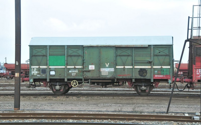 MCS_4419.jpg
