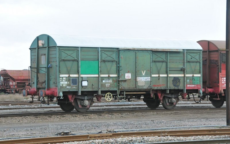 MCS_4098.jpg