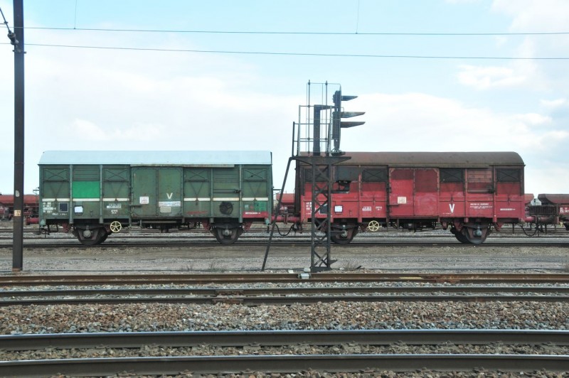 MCS_4420.jpg