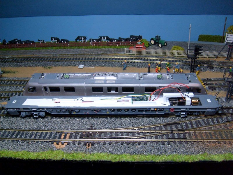 S6303771.JPG