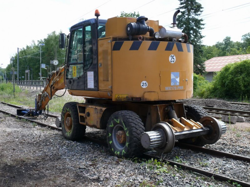 Pelle-RR3.jpg