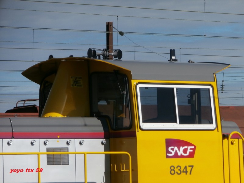 Y 8347=31.JPG