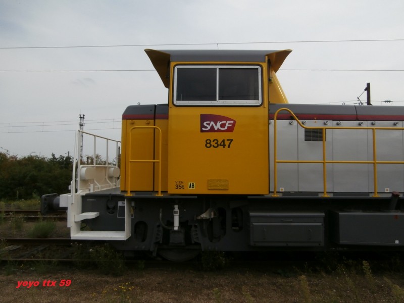 Y 8347=40.JPG